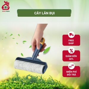 Cây lăn bụi Home