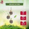 ĐÈN NGỦ THẢ TRẦN