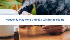 Nguyên lý máy xông tinh dầu và cấu tạo của nó