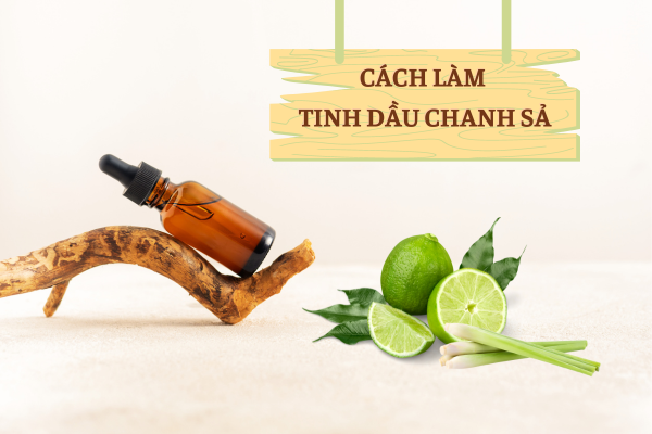 Cách làm tinh dầu sả nhanh chóng hiệu quả