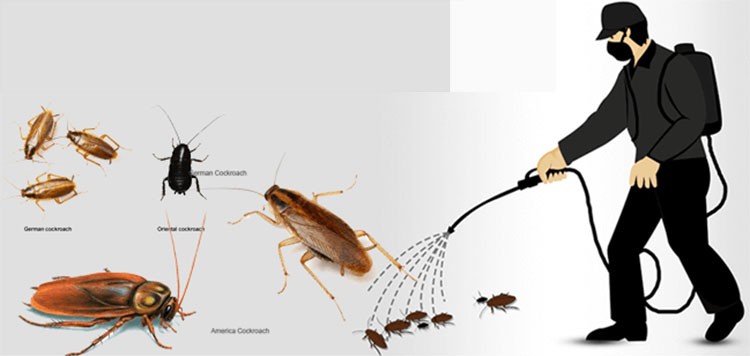 cach-diet-gian-thong-minh